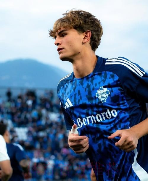 罗马诺:皇马引援名单有阿方索 管理层有人很喜欢他